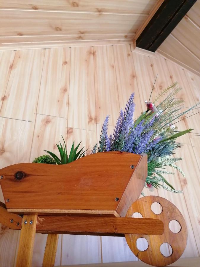 Cozy Attic Studio Brașov Exterior foto